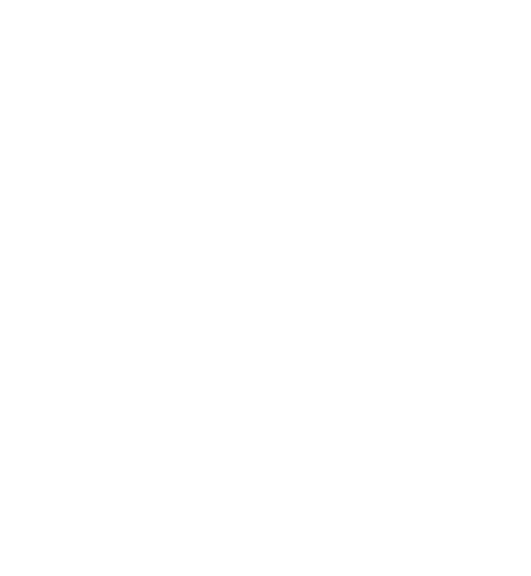 Estrela Hotels